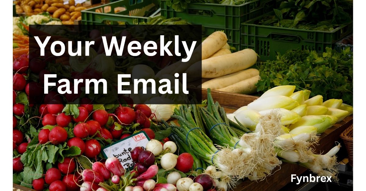 Fresh vegetables at a market stall with the words Your Weekly Farm Email and Fynbrex.